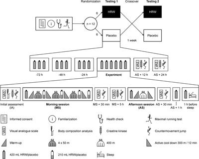 Hydrogen-rich water supplementation promotes muscle recovery after two strenuous training sessions performed on the same day in elite fin swimmers: randomized, double-blind, placebo-controlled, crossover trial